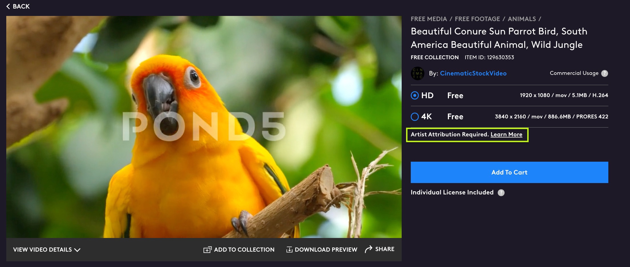 Beautiful Conure Sun Parrot Bird, South ... Stock Video Pond5 2023-07-27 at 1.16.39 p.m..jpg