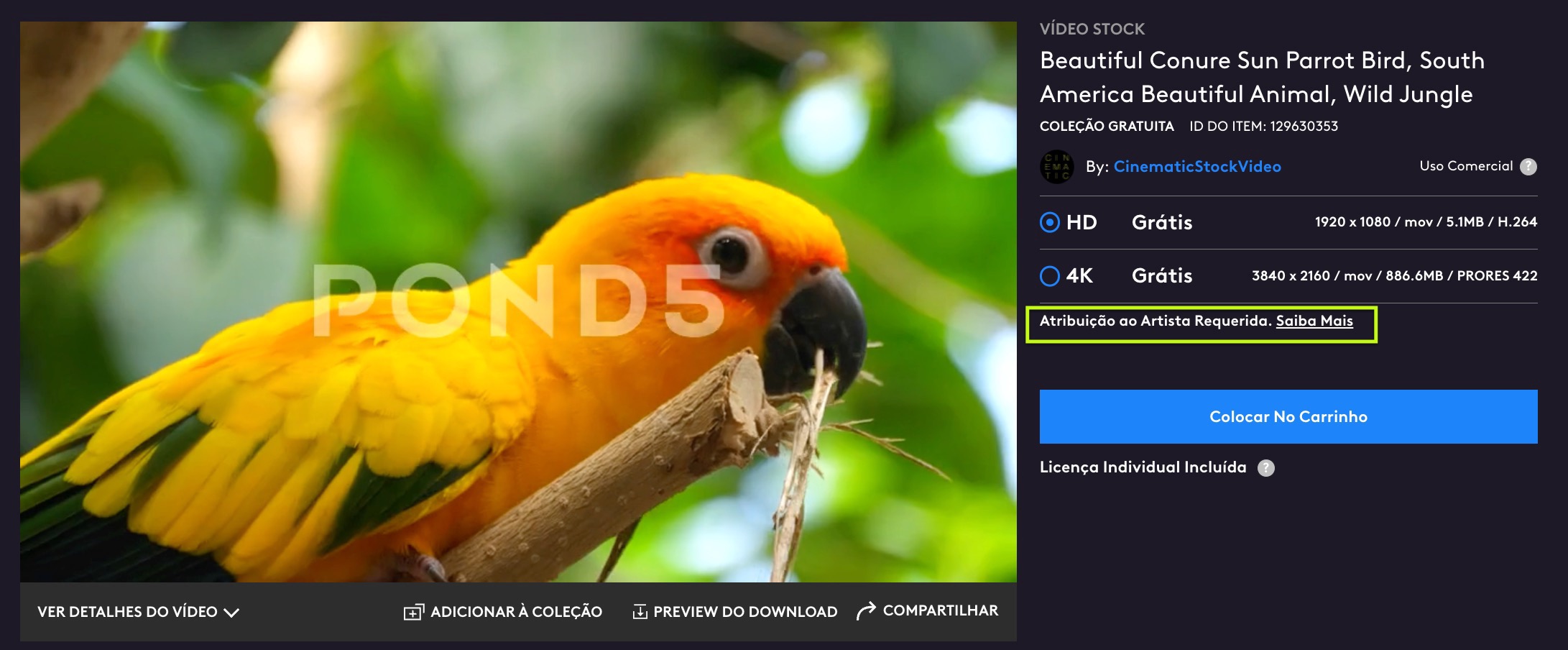 Beautiful Conure Sun Parrot Bird, South ... Stock Video Pond5 2023-07-27 at 1.31.21 p.m..jpg