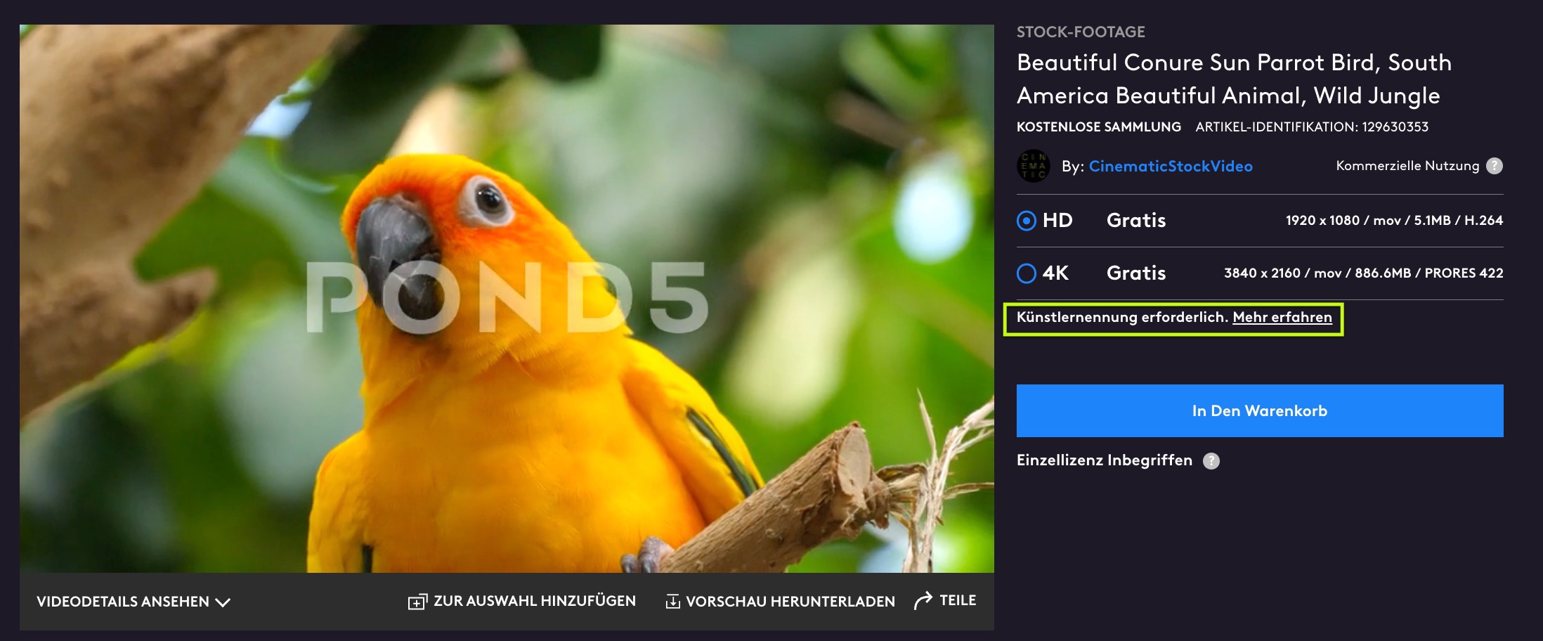Beautiful Conure Sun Parrot Bird, South ... Stock Video Pond5 2023-07-27 at 3.02.17 p.m..jpg