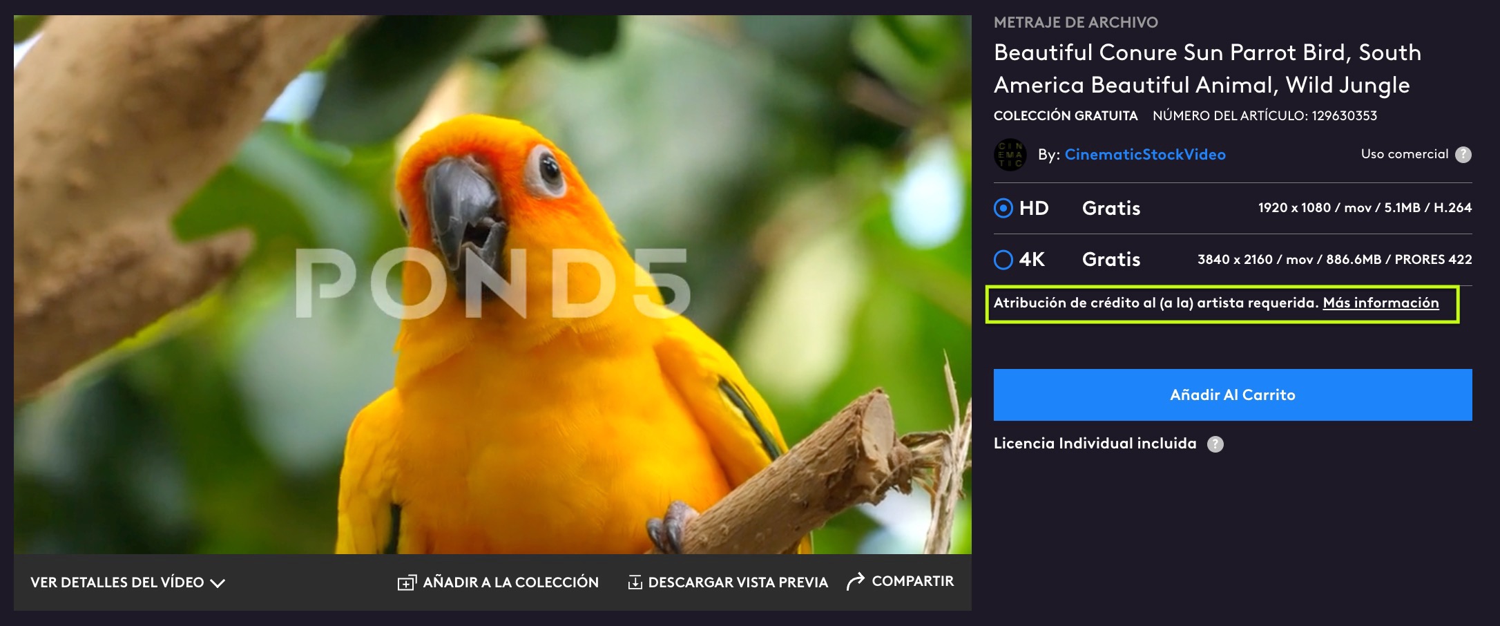 Beautiful Conure Sun Parrot Bird, South ... Stock Video Pond5 2023-07-27 at 3.32.27 p.m..jpg